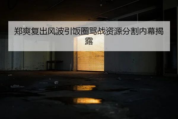 郑爽复出风波引饭圈骂战资源分割内幕揭露